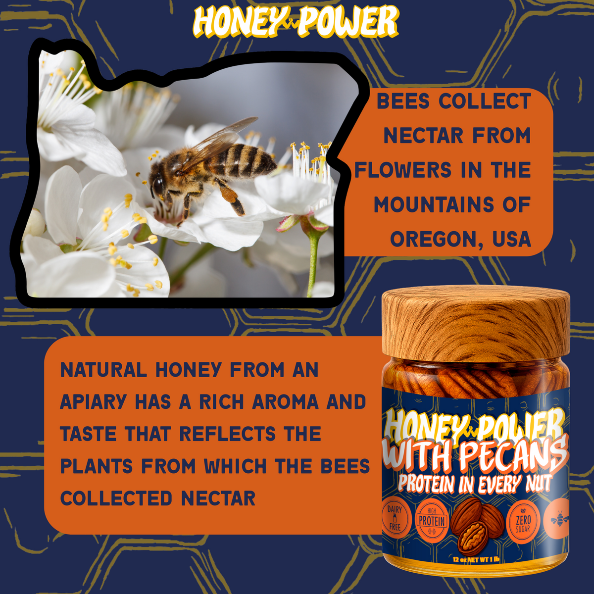 Honey Power with Pecans - Natural Honey Protein in Every Nut 12 oz